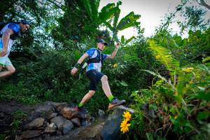 BIB: 1114
                            <button type="button" onclick="openModal(15975007)" class="btn btn-primary btn-sm float-right btn-popup" data-toggle="modal" data-target=".modal-high-quality">
                        <i class="fas fa-shopping-cart"></i> Add to Cart
                    </button>
                                            <button type="button" onclick="isThisMe(15975007, true)" class="btn btn-success btn-sm float-right btn-popup btn-isme hidden" data-toggle="tooltip" data-placement="bottom" title="นี่คือรูปของคุณใช่ไหม คลิกที่นี่เพื่อเอาเข้าอัลบั้ม">
                        <i class="fas fa-plus"></i> Add to album
                    </button>
                    <button type="button" onclick="isThisMe(15975007, false)" class="btn btn-warning btn-sm float-right btn-popup btn-isnotme hidden">
                        <i class="fas fa-ban"></i> Remove from album
                    </button>